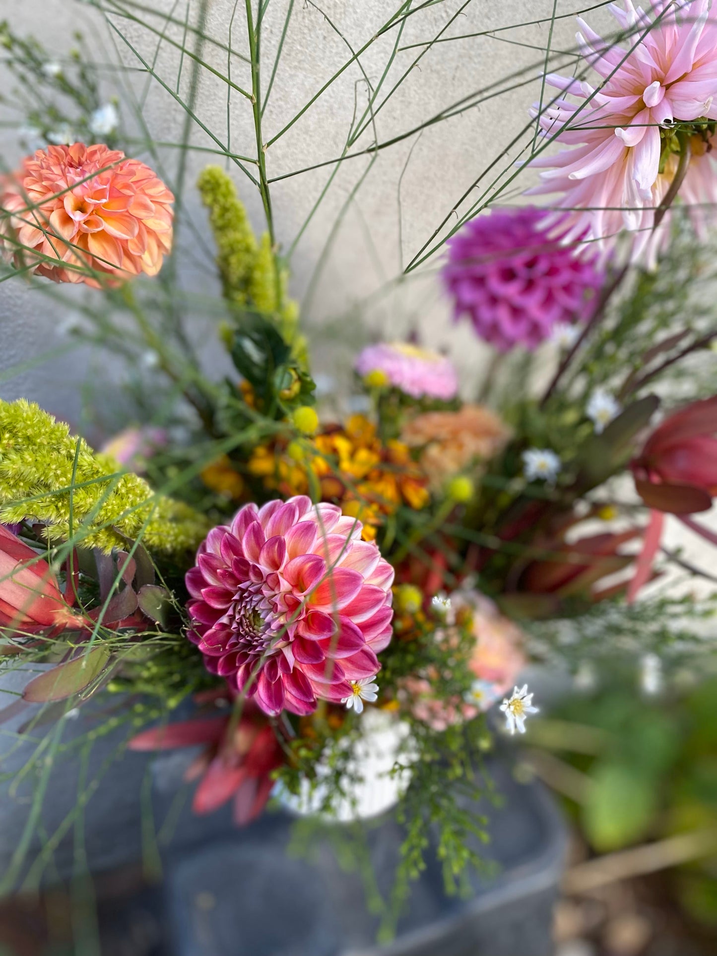 Seasonal Garden