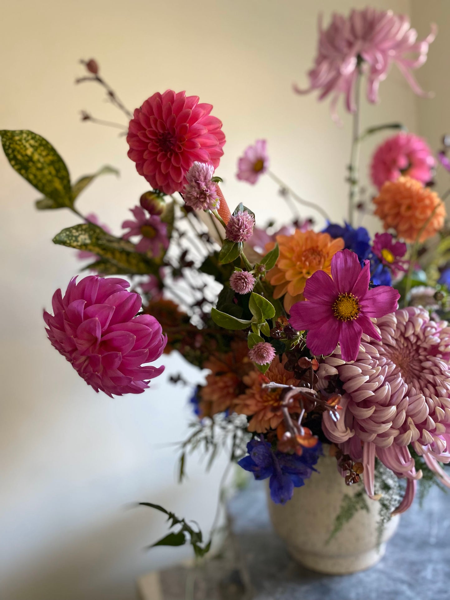 Seasonal Garden