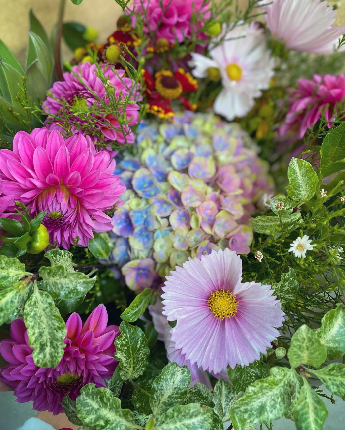 Seasonal Garden
