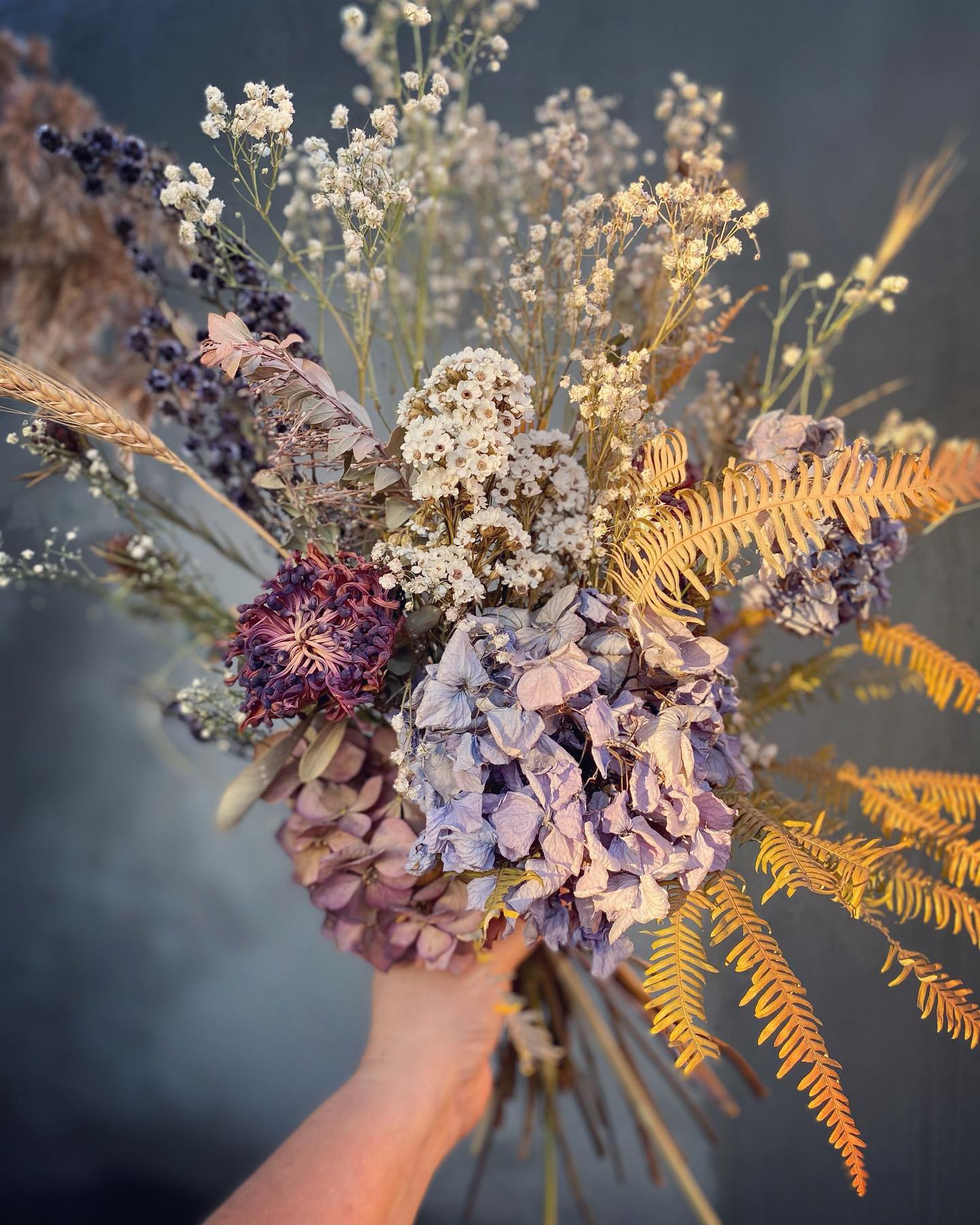 Lupin Everlasting Bouquet