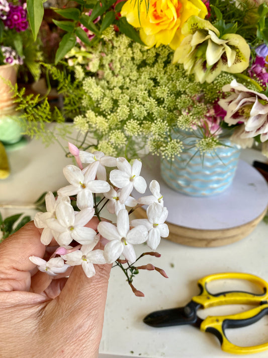 The practical guide to flower care
